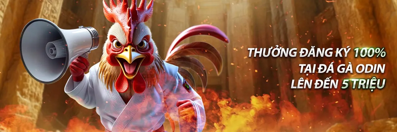 Hình ảnh chính Betvisa Đăng Nhập